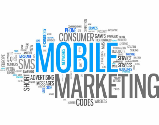 2-mobile-marketing-entreprenew-inc-seo-and-marketing-agency-wellington-fl-west-palm-beach-fl-seo-mobile-marketing-web-design-mobile-responsive-social-media-manangement